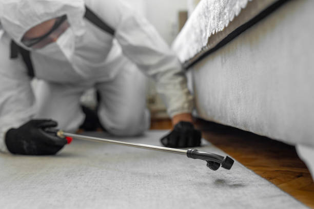 Professional Cockroach Control technician working in Winnebago, IL